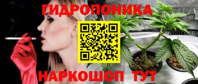 мдпв Ярцево