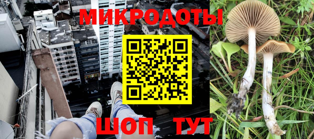 Галлюциногенные грибы GOLDEN TEACHER Бахчисарай