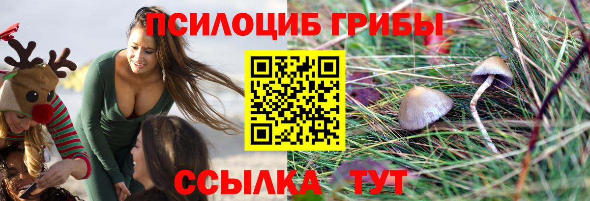 Галлюциногенные грибы ЛСД Бахчисарай